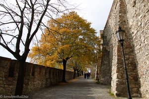 Weg zur Burg Bratislava