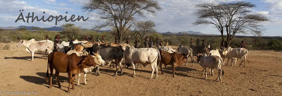 Bullensprung der Hamer in Äthiopien