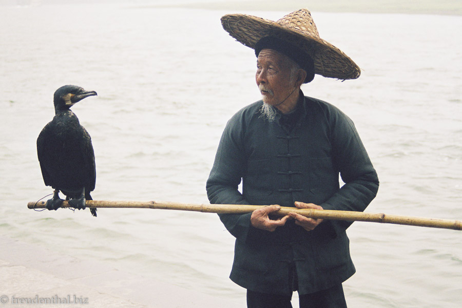 Fischer mit dressiertem Kormoran am Li-Fluss