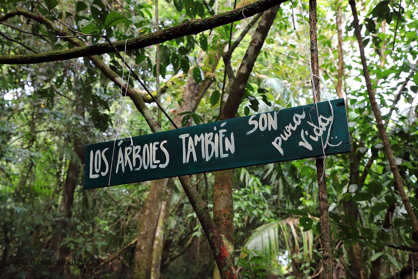 Pura Vida auf den Sendero Drake