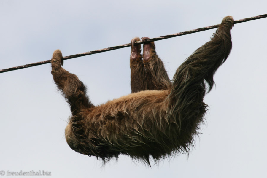 und dann hangelt es sich weiter entlang der Leitung