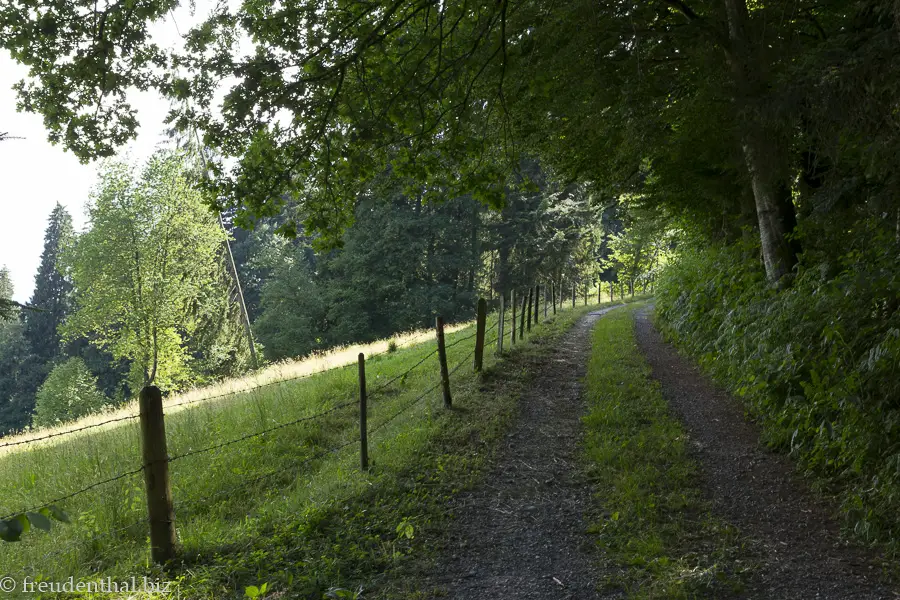 Rundwanderung bei Scheffau