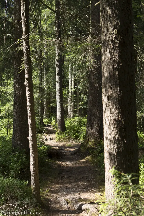 Wanderweg beim Leintobel