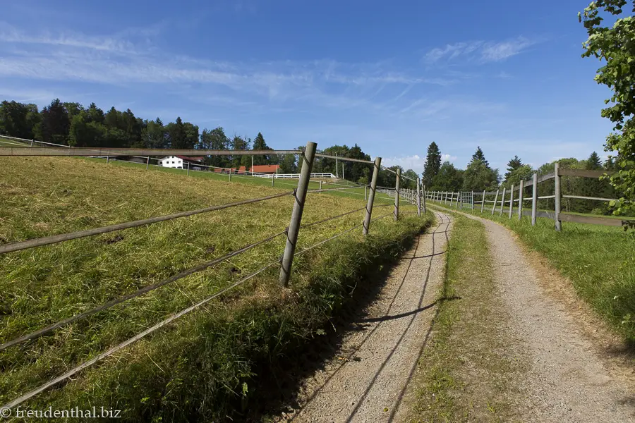 Weg zum Erlenhof beim Leintobel