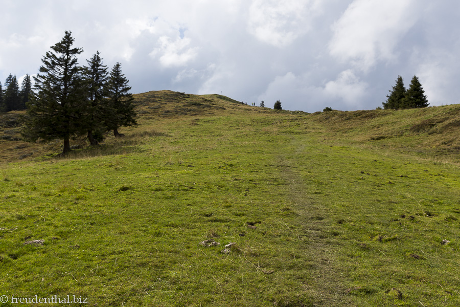 Almwiesen beim Wertacher Hörnle
