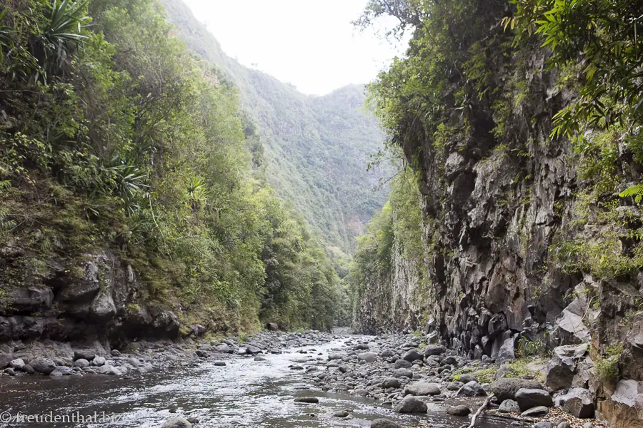 Flusswanderung Bras de la Plaine