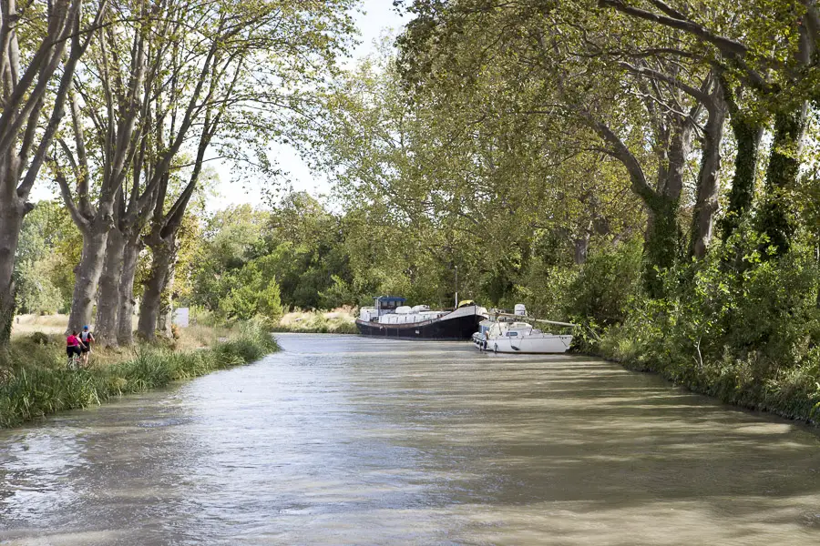 Platanen, Canal du Midi