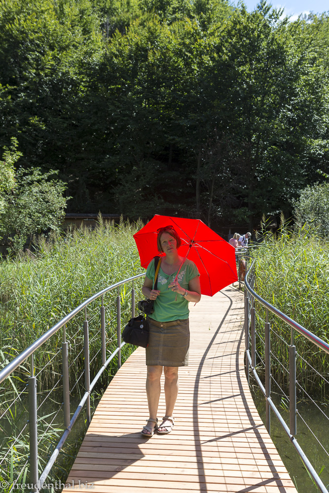 Anne in den Landschaften Südtirols