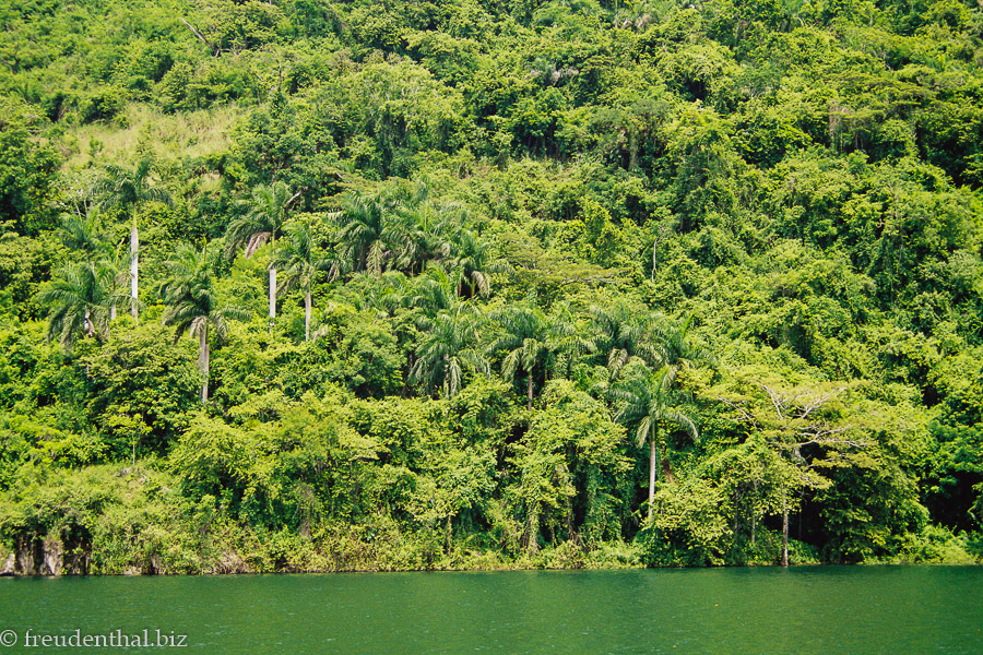 Grünes Wasser im Bergsee von Kuba