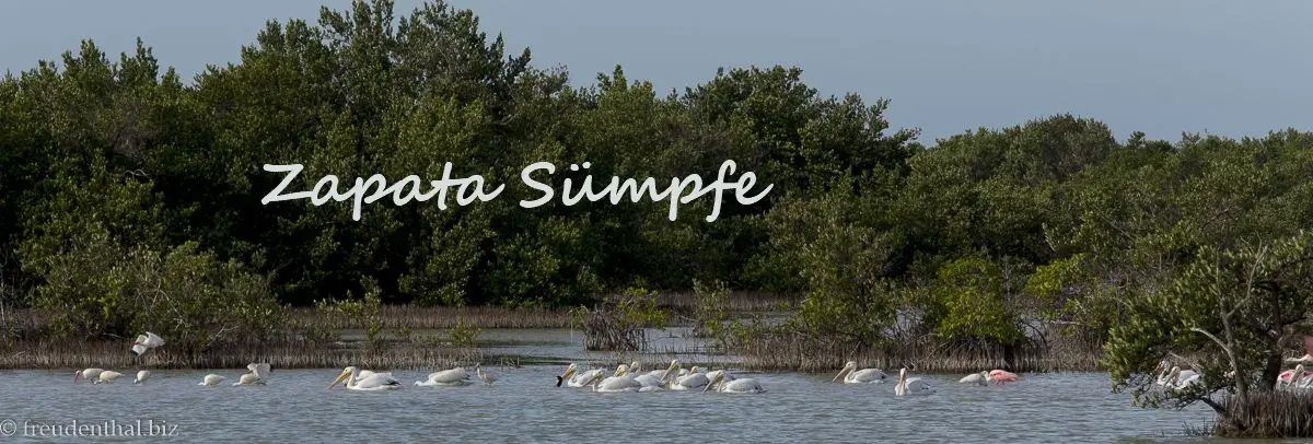 Zapata-Sümpfe nahe der Laguna de las Salinas