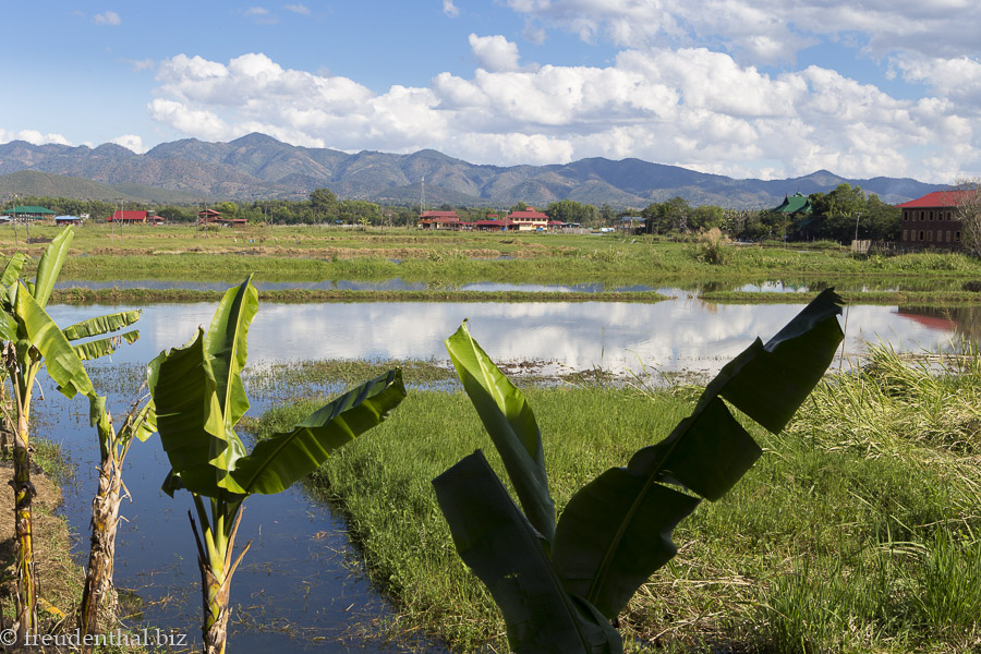 Ein Blick über Bananen-Stauden zu den Schwimmenden Gärten