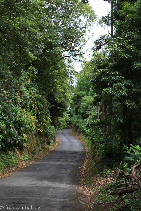 Wanderweg vom Schwefelsee nach Furnas