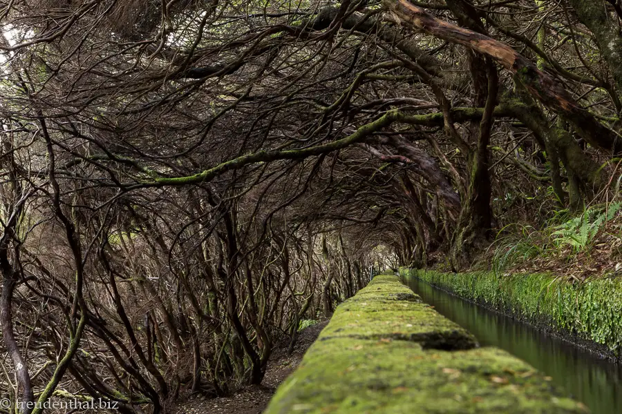 Levada da 25 Fontes