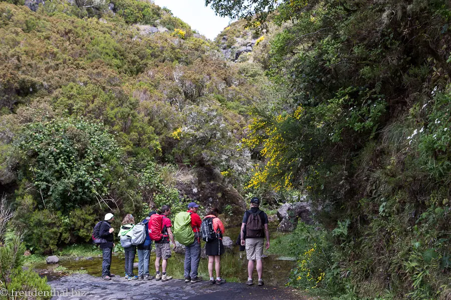 Wanderung bei der Ribeira do Alecrim