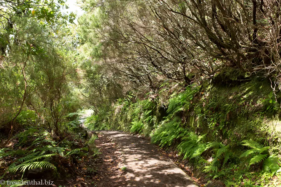 Wanderweg zum Risco-Wasserfall