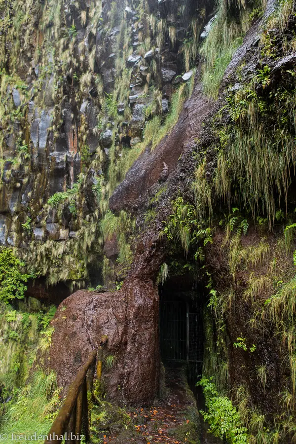 Risco-Levada auf dem Weg zum Wasserfall