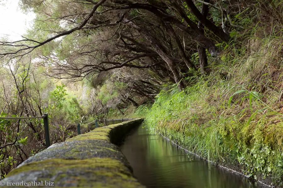 Levada auf dem Weg zu den 25 Quellen