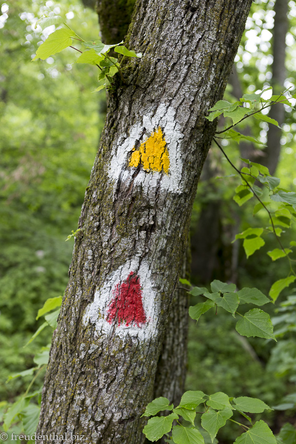 Wegmarkierung auf dem Tampa