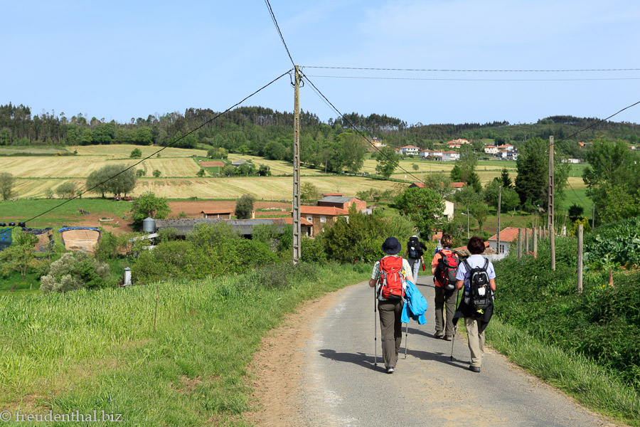 auf dem Weg nach Arzua