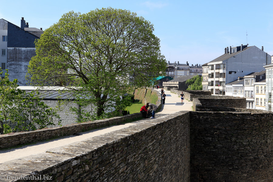 Auf der Stadtmauer von Lugo