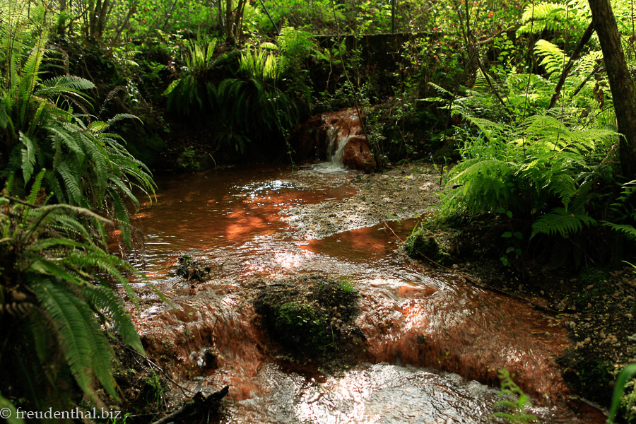 Letzte Pilgerwaschselle im Mittelalter vor Santiago