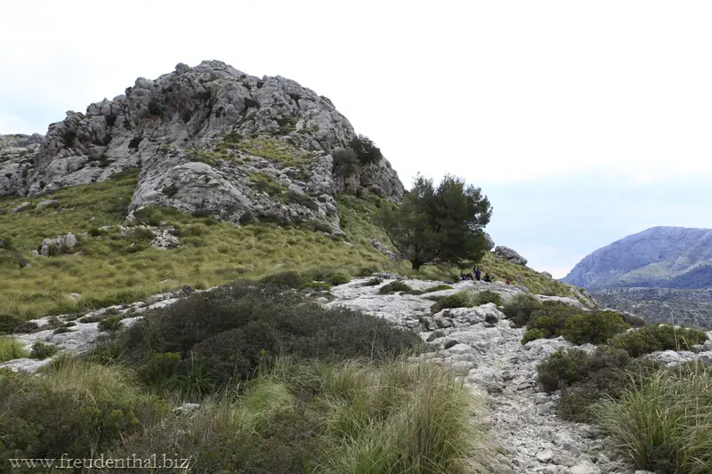 Wanderung ab Lluc um den Puig Roig