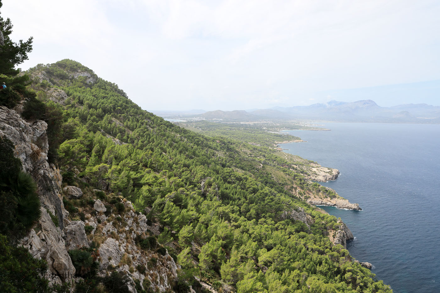 Blick zurück nach Alcudia