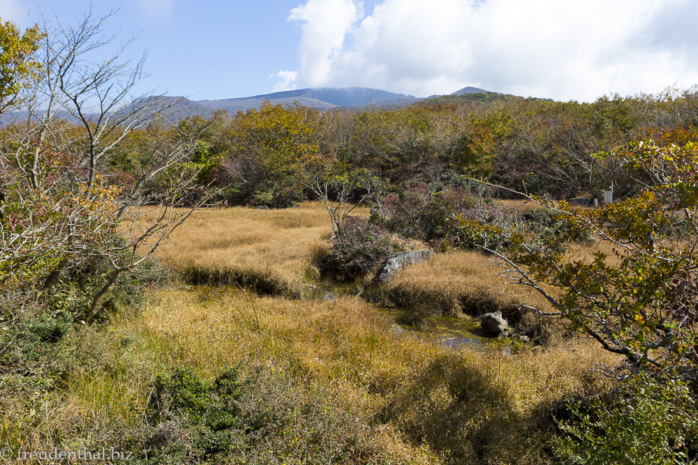 Kleine Wanderung durch das Feuchtgebiet beim Hallasan