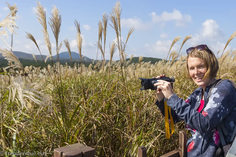 Motivsuche für Urlaubsfotos in Südkorea