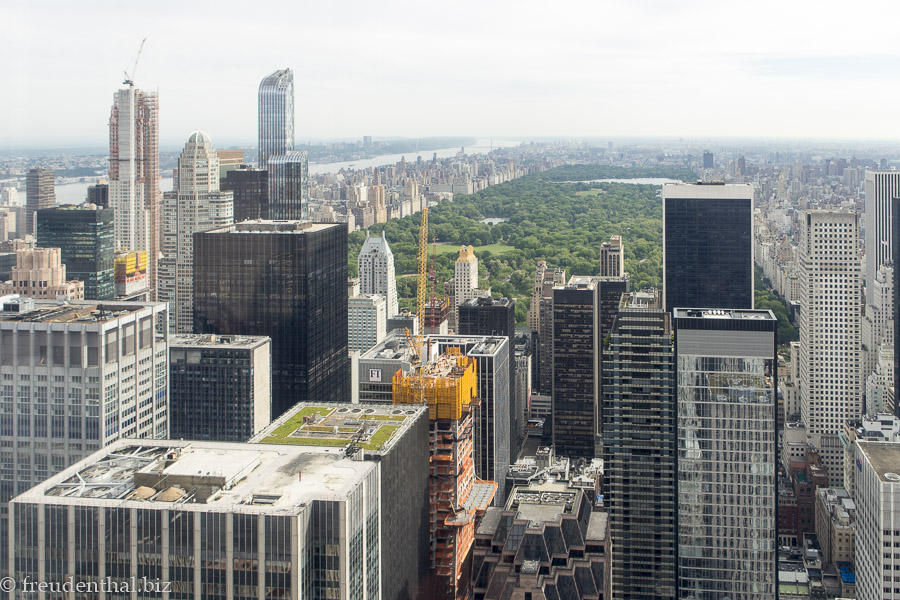Aussicht über den Central Park