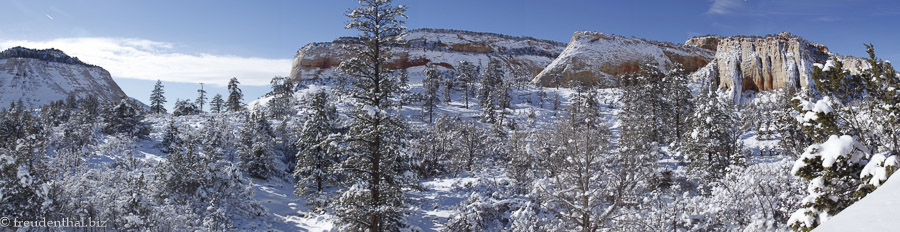 Panorama im Zion National Park