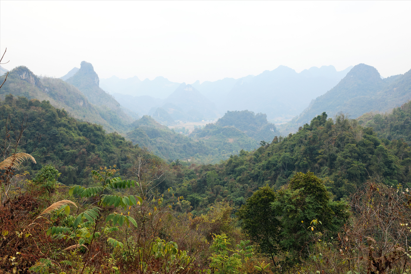 Aussicht über das Bac-Vong-Flusssystem