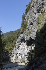 Die Aareschlucht - beim Großen Runs