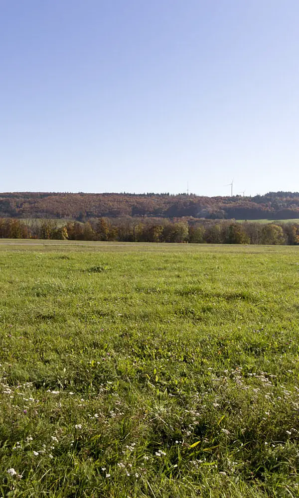 Flugplatz Kaltes Feld bei Degenfeld