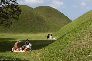 Picknick im Grünen des Noseodong-Parks
