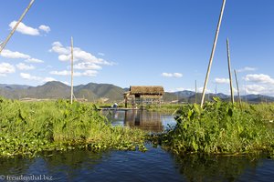 bei den schwimmenden Gärten auf dem Inle-See