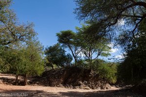 im Wadi auf dem Weg zum Bullensprung