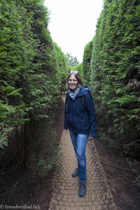 Anne sucht den Weg durch das Labyrinth im Kimnyoung Maze Park