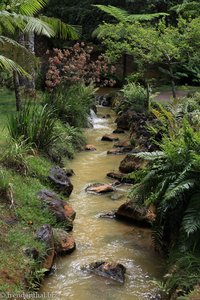 kleiner Bachlauf im botanischen Garten von Furnas