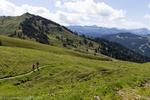 bei der Nagelfluhkette Hochgrat-Steineberg