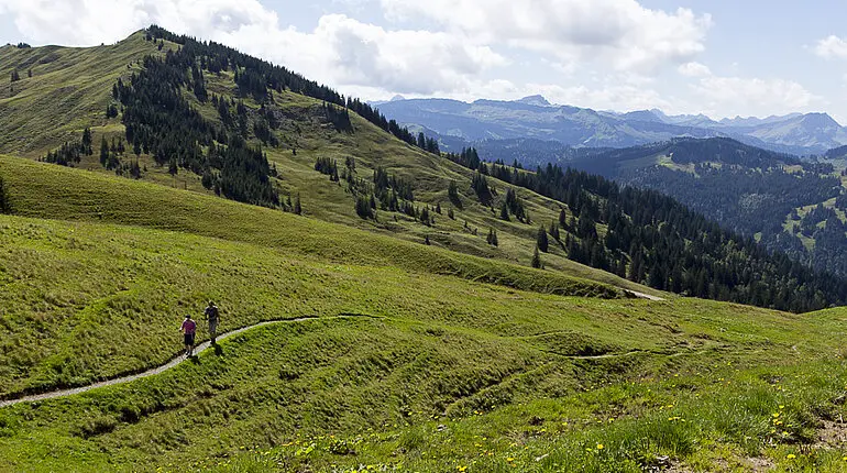 bei der Nagelfluhkette Hochgrat-Steineberg