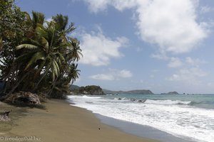 Palmenstrand an der King´s Bay