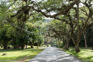 Straße durchs Viñales Tal