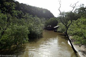 Flussmündung beim Eingang in den Bako Nationalpark