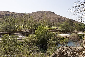 Blick auf den Botanischen Garten bei Ayn Razat im Oman