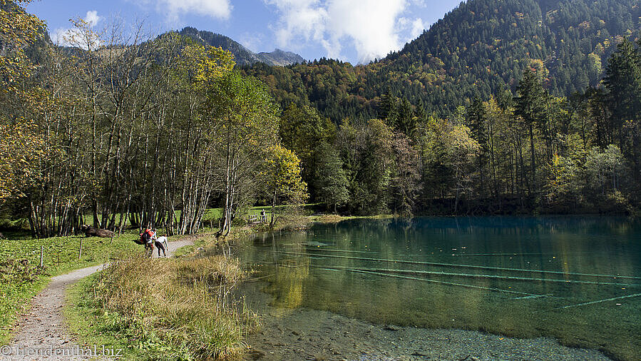 Baumstämme im Christlessee