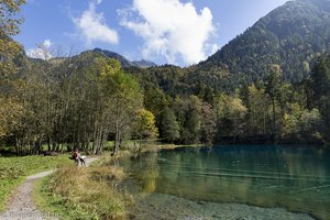 Baumstämme im Christlessee