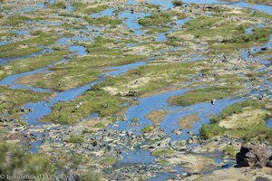 Olifants Fluss im Krüger Nationalpark