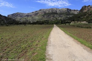 Ebene am Torrent de Lluc