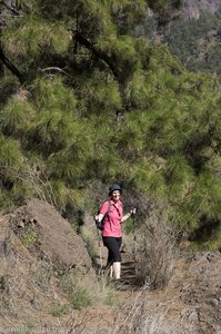 Noch ist der Wanderweg perfekt